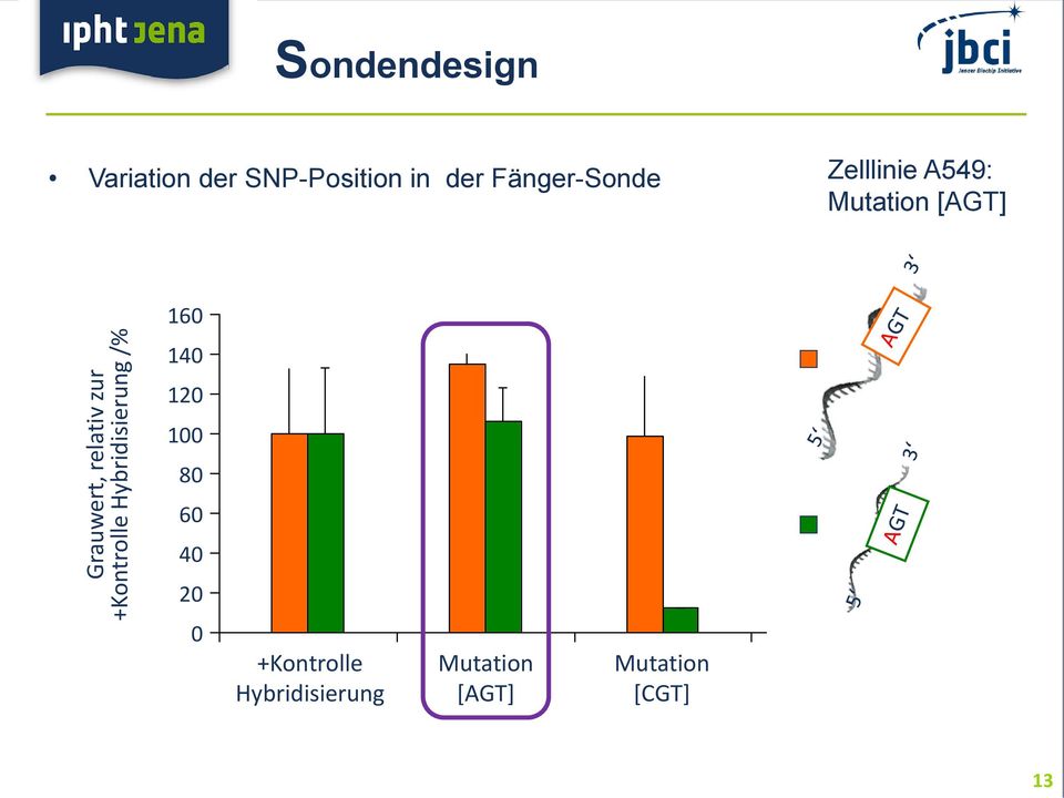 19 SNP mittig _neu designte Proben Zelllinie A549: Mutation [AGT] Grauwert, relativ zur +Kontrolle_Hybridisierung /% 160 140 120 100