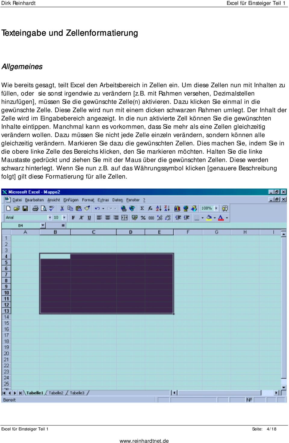 In die nun aktivierte Zell können Sie die gewünschten Inhalte eintippen. Manchmal kann es vorkommen, dass Sie mehr als eine Zellen gleichzeitig verändern wollen.