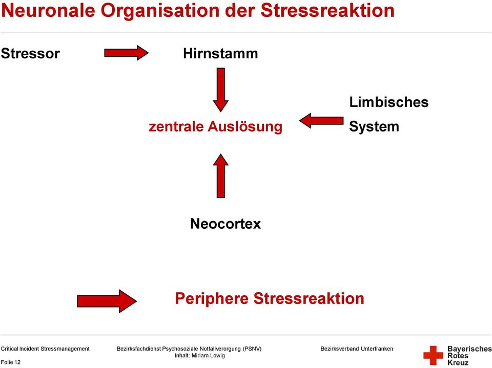 Stressreaktion Critical Incident Stressmanagement Folie 12