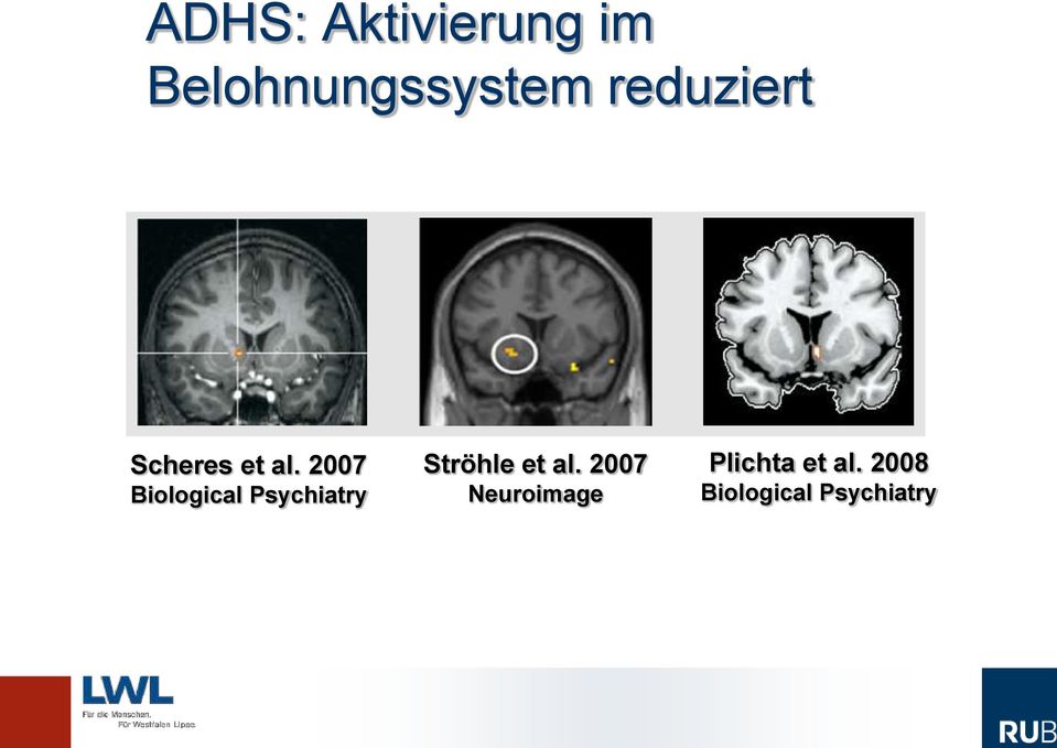 2007 Biological Psychiatry Ströhle et al.