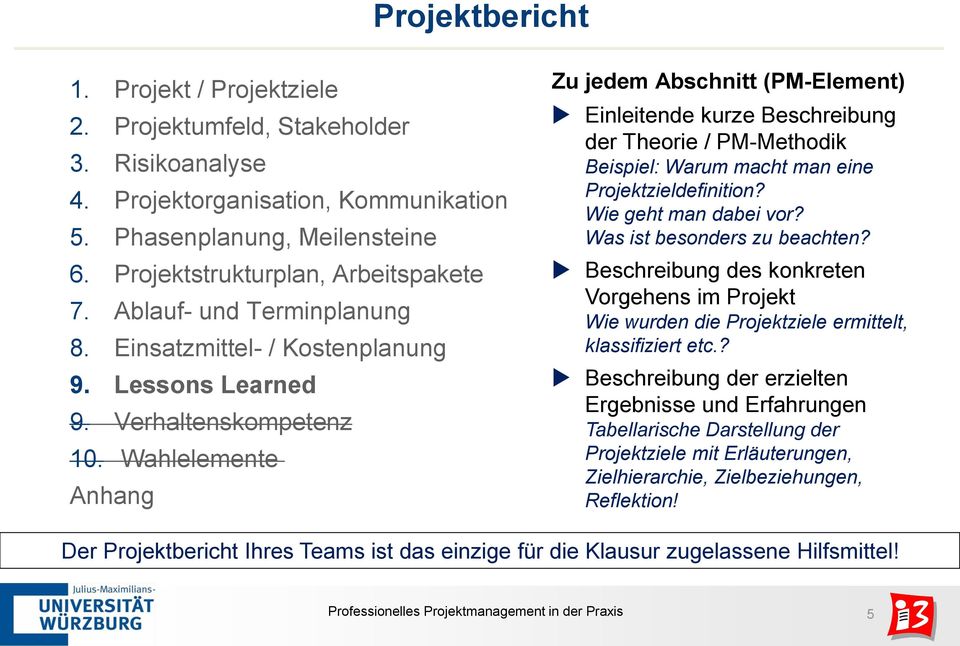 Professionelles Projektmanagement In Der Praxis Pdf