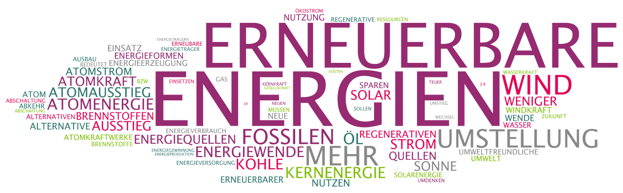 Diese Wörter verwenden Unternehmer am häufigsten, wenn sie sich zum Thema Energiewende äußern Wie würden Sie