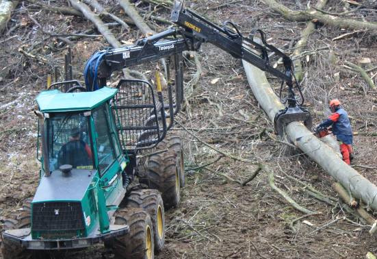 Anforderungen Forstbetrieb Massnahmenplanung: Holzernte Waldpflege