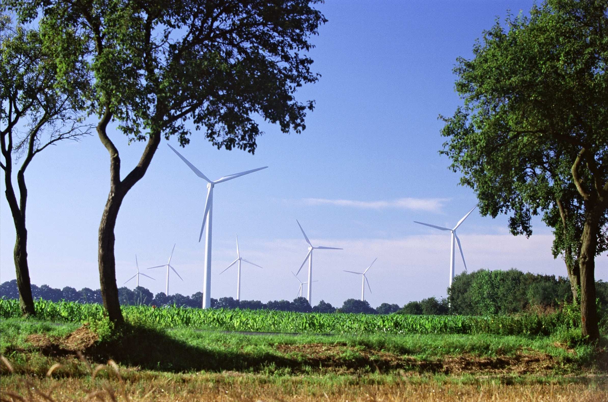 de Klimaschutz und Windenergie