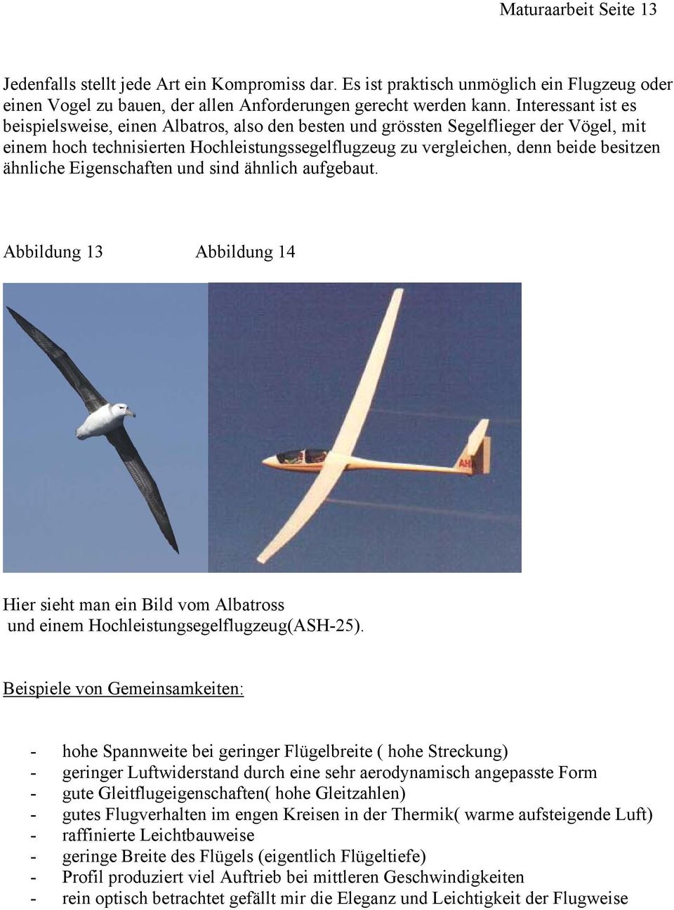 ähnliche Eigenschaften und sind ähnlich aufgebaut. Abbildung 13 Abbildung 14 Hier sieht man ein Bild vom Albatross und einem Hochleistungsegelflugzeug(ASH-25).