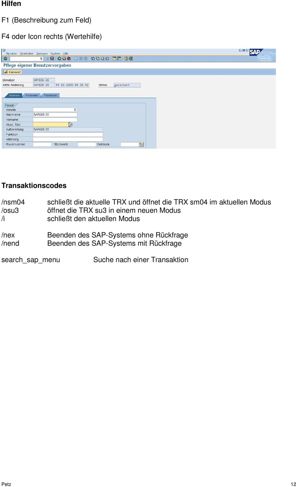 in einem neuen Modus /i schließt den aktuellen Modus /nex /nend Beenden des SAP-Systems ohne