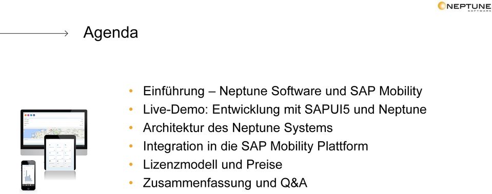Architektur des Neptune Systems Integration in die SAP