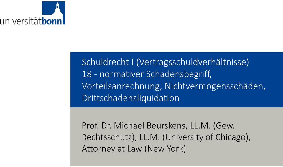 Nichtvermögensschäden, Prof. Dr. Michael Beurskens, LL.M. (Gew.
