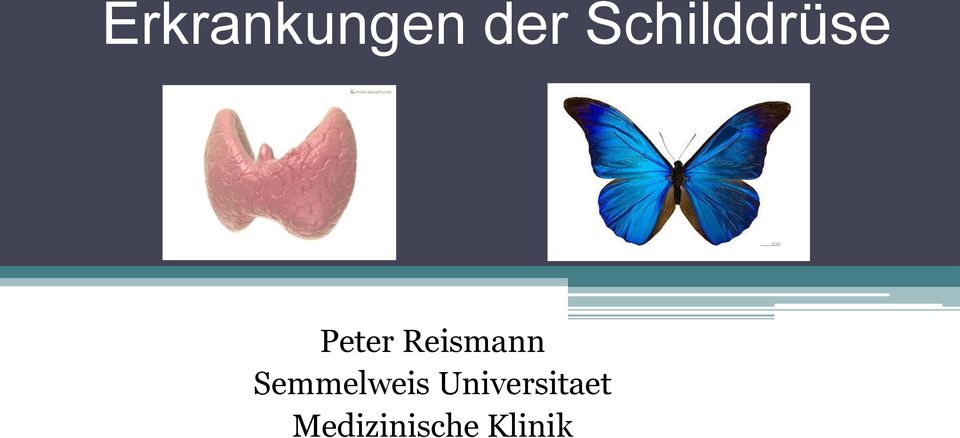 Reismann Semmelweis