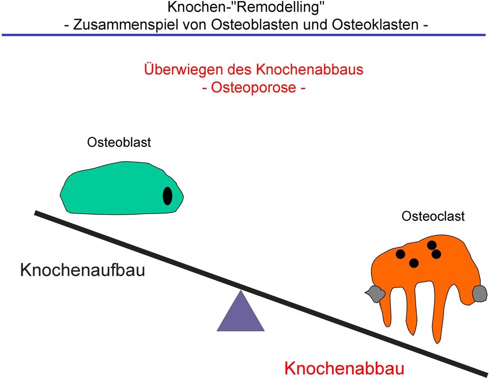 Überwiegen des Knochenabbaus -