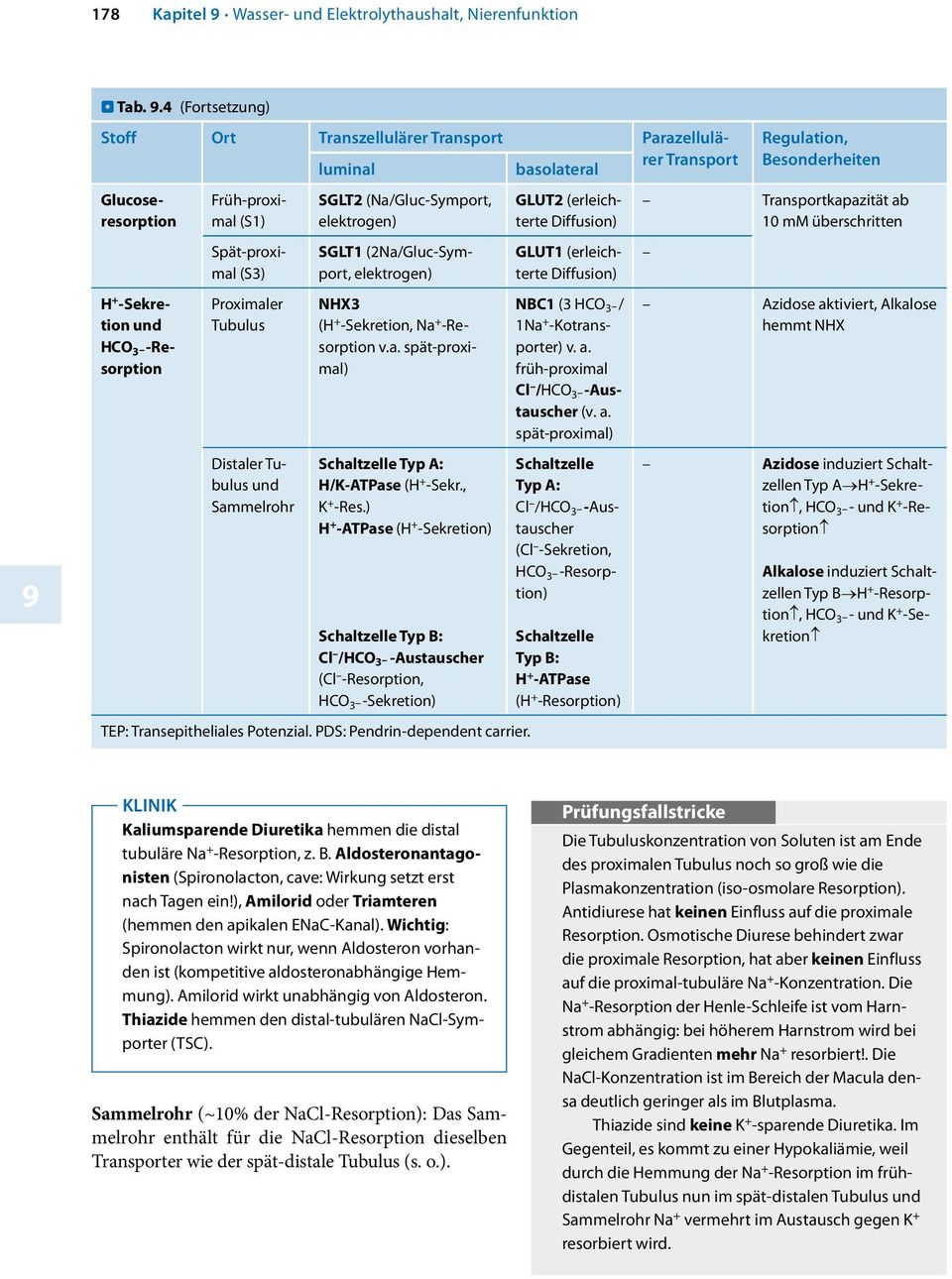 Tubulus Distaler Tubulus und Sammelrohr SGLT2 (Na/Gluc-Symport, elektrogen) SGLT1 (2Na/Gluc-Symport, elektrogen) NHX3 (H -Sekretion, -Resorption v.a. spät-proximal) Schaltzelle Typ A: H/K-ATPase (H -Sekr.
