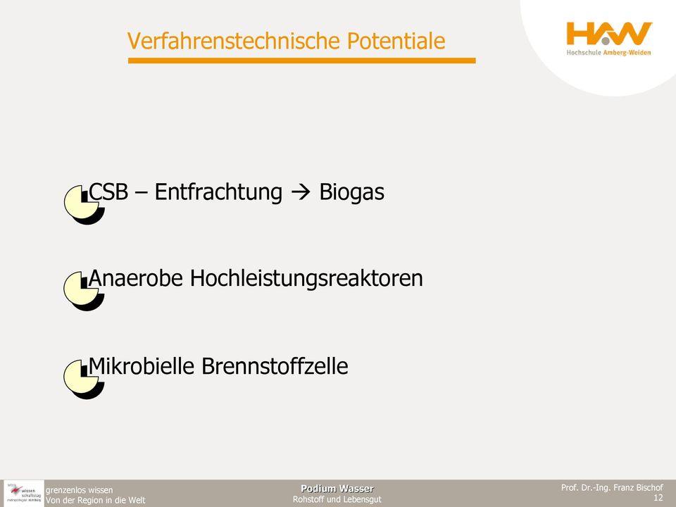 Biogas Anaerobe