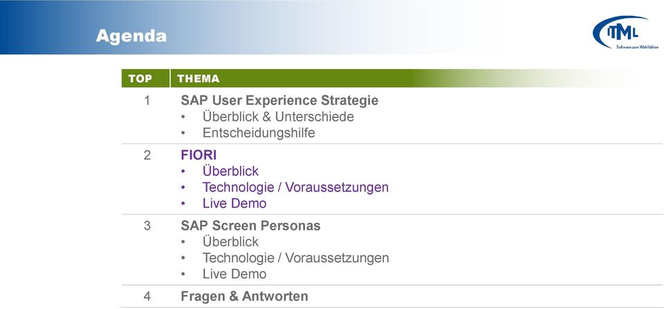 Technologie / Voraussetzungen Live Demo 3 SAP Screen