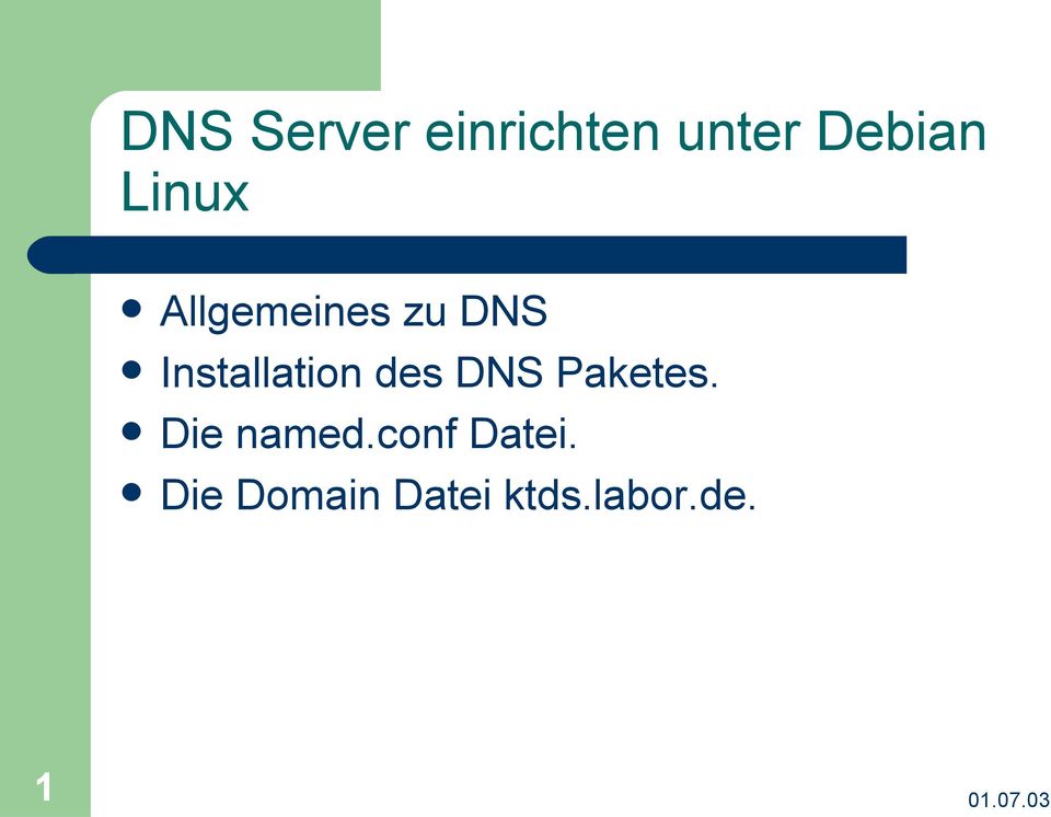 Installation des DNS Paketes.