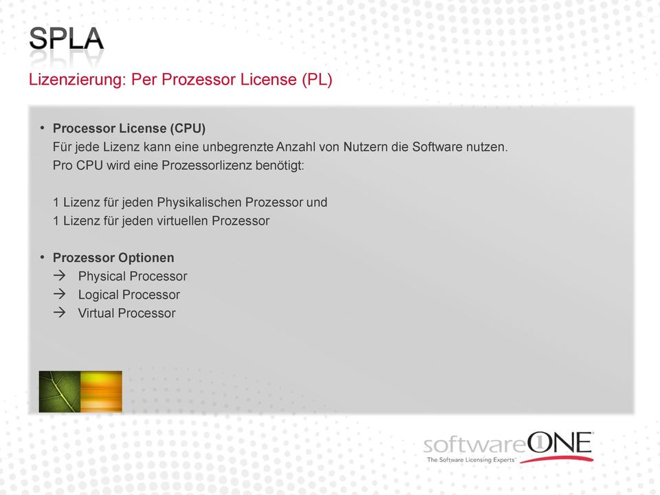 Pro CPU wird eine Prozessorlizenz benötigt: 1 Lizenz für jeden Physikalischen