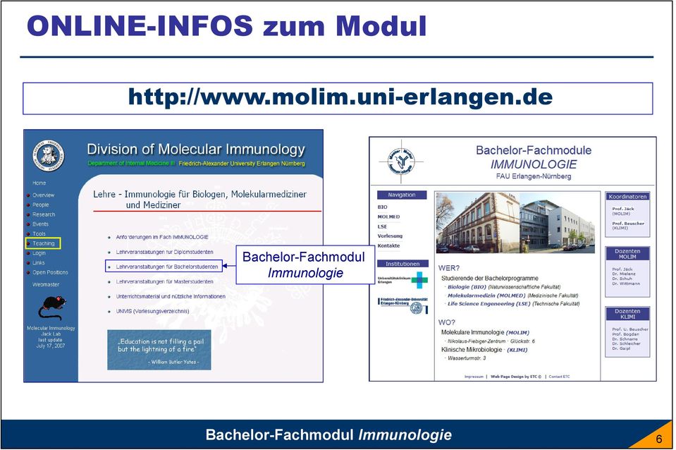 de Bachelor-Fachmodul