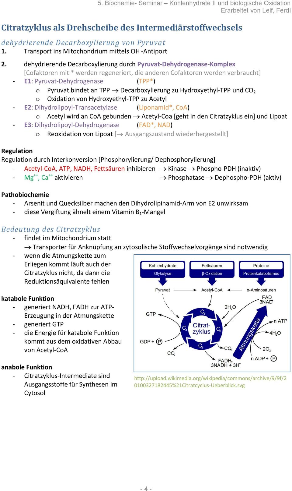 an TPP Decarboxylierung zu Hydroxyethyl-TPP und CO 2 o Oxidation von Hydroxyethyl-TPP zu Acetyl - E2: Dihydrolipoyl-Transacetylase (Liponamid*, CoA) o Acetyl wird an CoA gebunden Acetyl-Coa [geht in