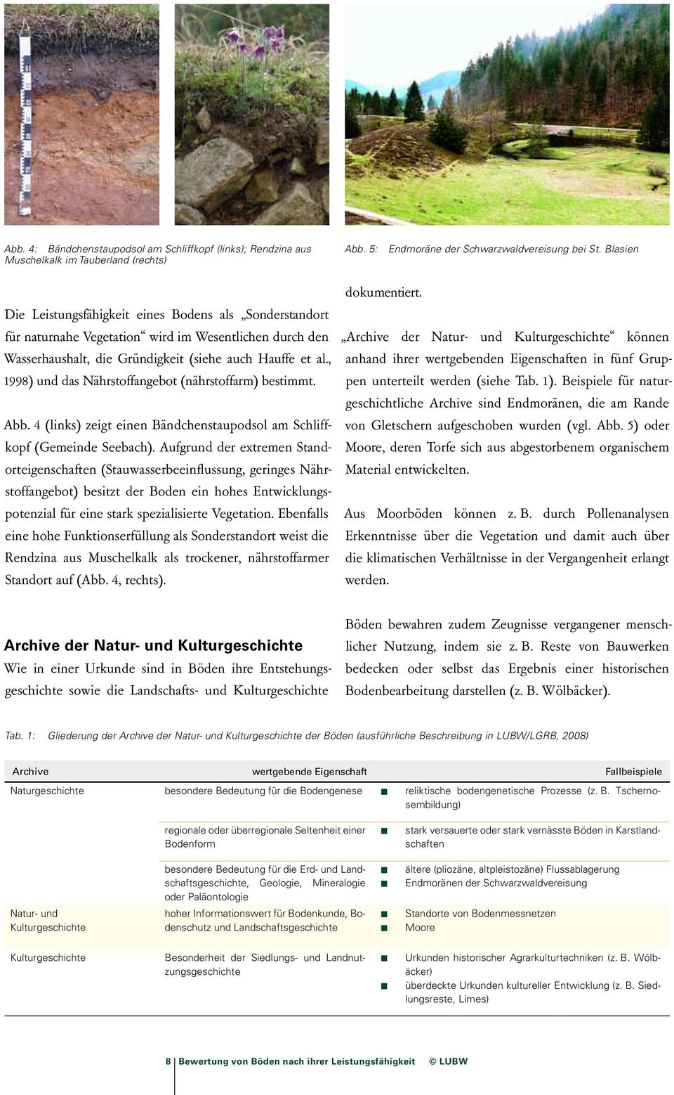 , 1998) und das Nährstoffangebot (nährstoffarm) bestimmt. Abb. 4 (links) zeigt einen Bändchenstaupodsol am Schliffkopf (Gemeinde Seebach).