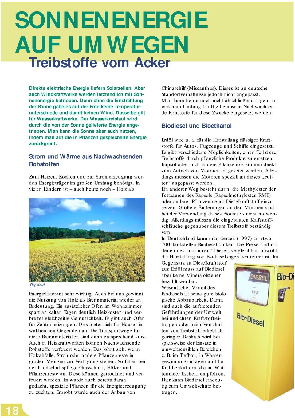 Der Wasserkreislauf wird durch die von der Sonne gelieferte Energie angetrieben. Man kann die Sonne aber auch nutzen, indem man auf die in Pflanzen gespeicherte Energie zurückgreift.