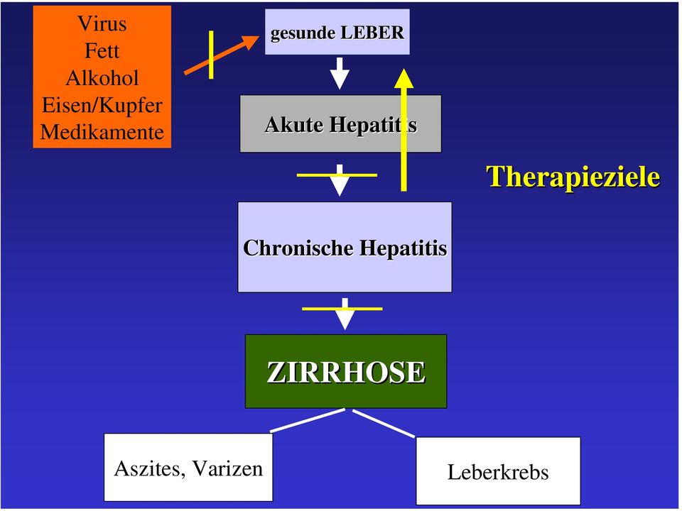 Hepatitis Therapieziele Chronische