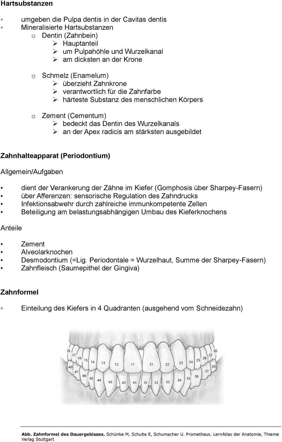 Zahnhalteapparat (Periodontium) Allgemein/Aufgaben dient der Verankerung der Zähne im Kiefer (Gomphosis über Sharpey-Fasern) über Afferenzen: sensorische Regulation des Zahndrucks Infektionsabwehr