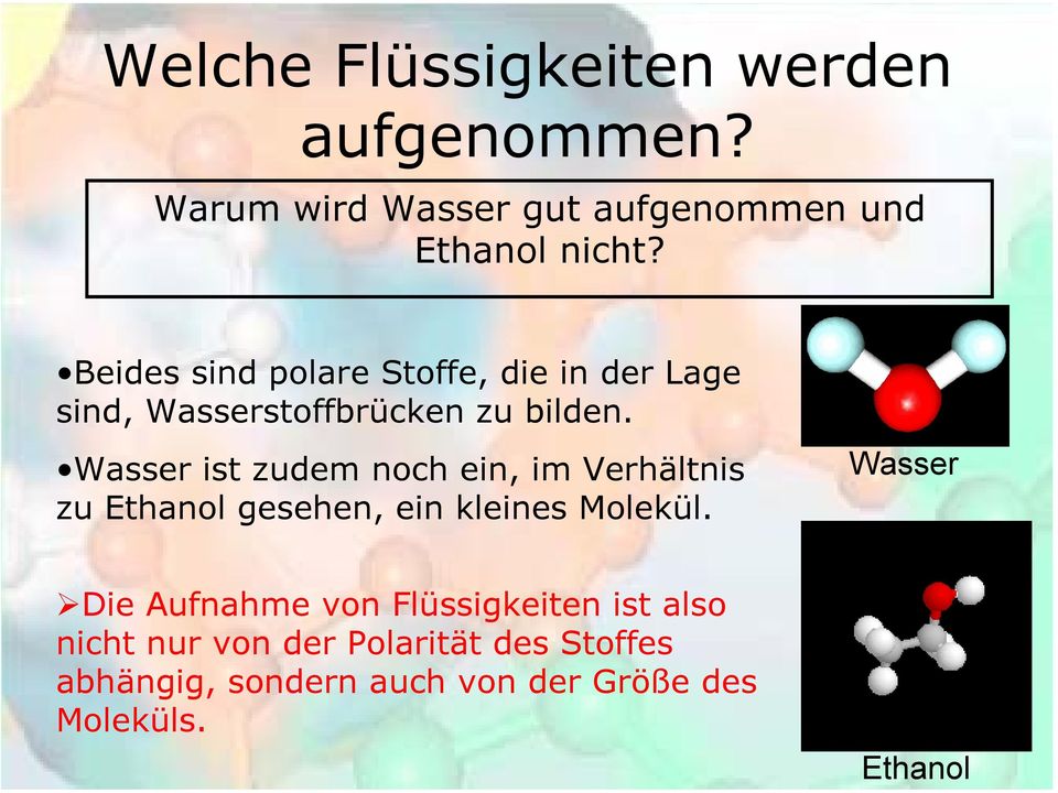 Wasser ist zudem noch ein, im Verhältnis zu Ethanol gesehen, ein kleines Molekül.
