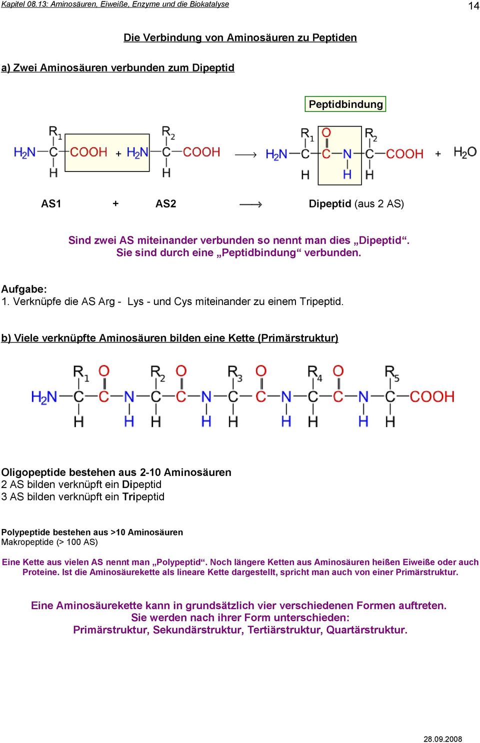b) Viele verknüpfte Aminosäuren bilden eine Kette (Primärstruktur) Oligopeptide bestehen aus 2-10 Aminosäuren 2 AS bilden verknüpft ein Dipeptid 3 AS bilden verknüpft ein Tripeptid Polypeptide