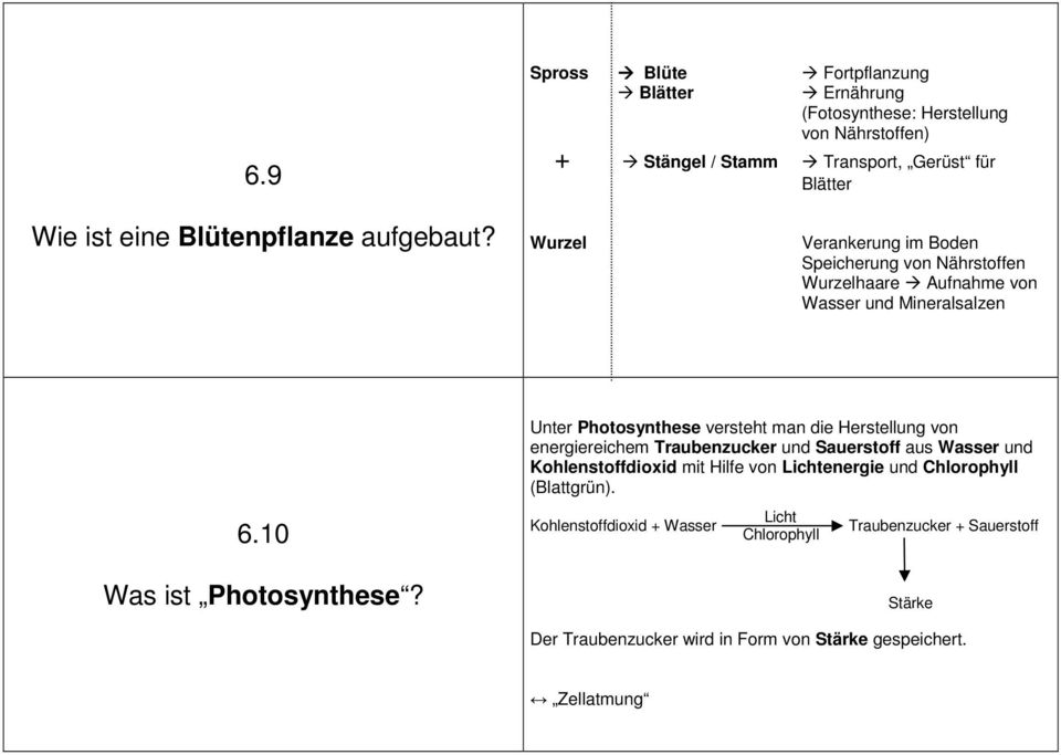 Unter Photosynthese versteht man die Herstellung von energiereichem Traubenzucker und Sauerstoff aus Wasser und Kohlenstoffdioxid mit Hilfe von Lichtenergie und