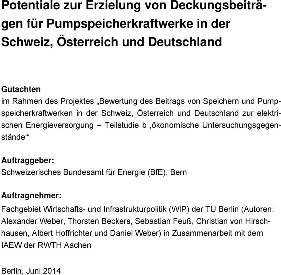 Untersuchungsgegenstände Auftraggeber: Schweizerisches Bundesamt für Energie (BfE), Bern Auftragnehmer: Fachgebiet Wirtschafts- und Infrastrukturpolitik (WIP) der TU