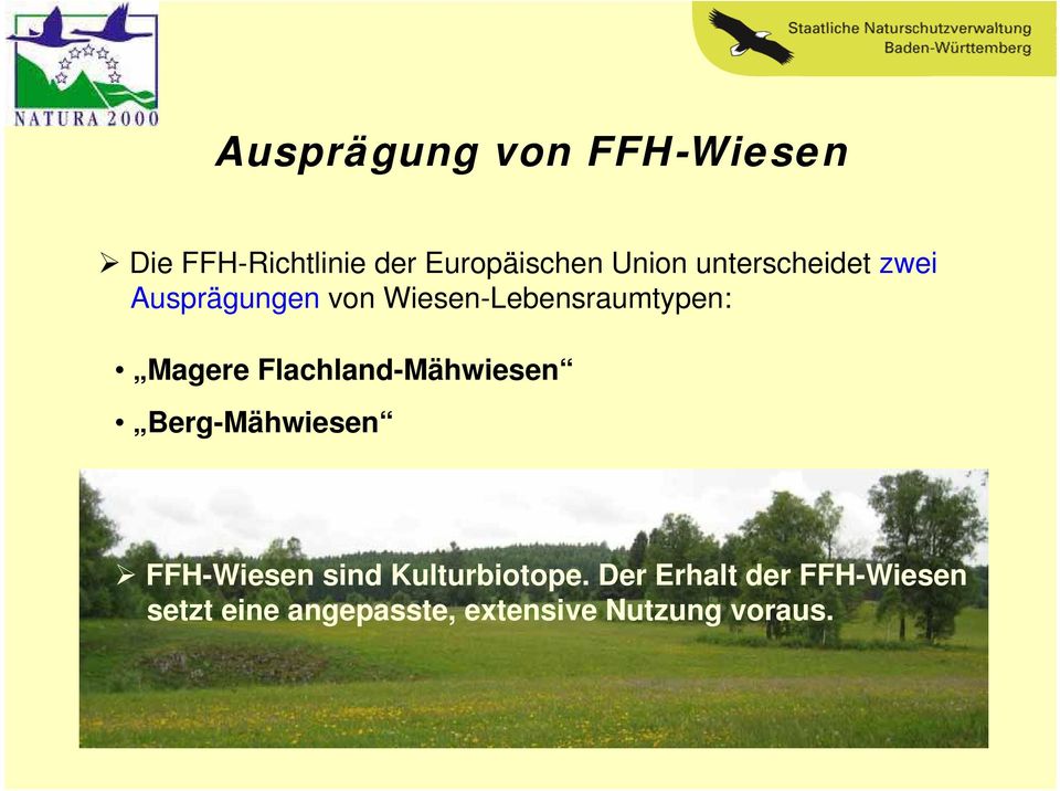 Flachland-Mähwiesen Berg-Mähwiesen FFH-Wiesen sind Kulturbiotope.