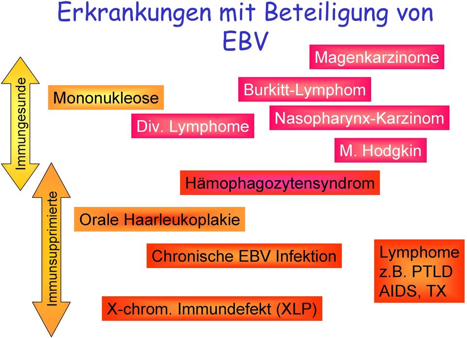 Lymphome Orale Haarleukoplakie Burkitt-Lymphom Hämophagozytensyndrom