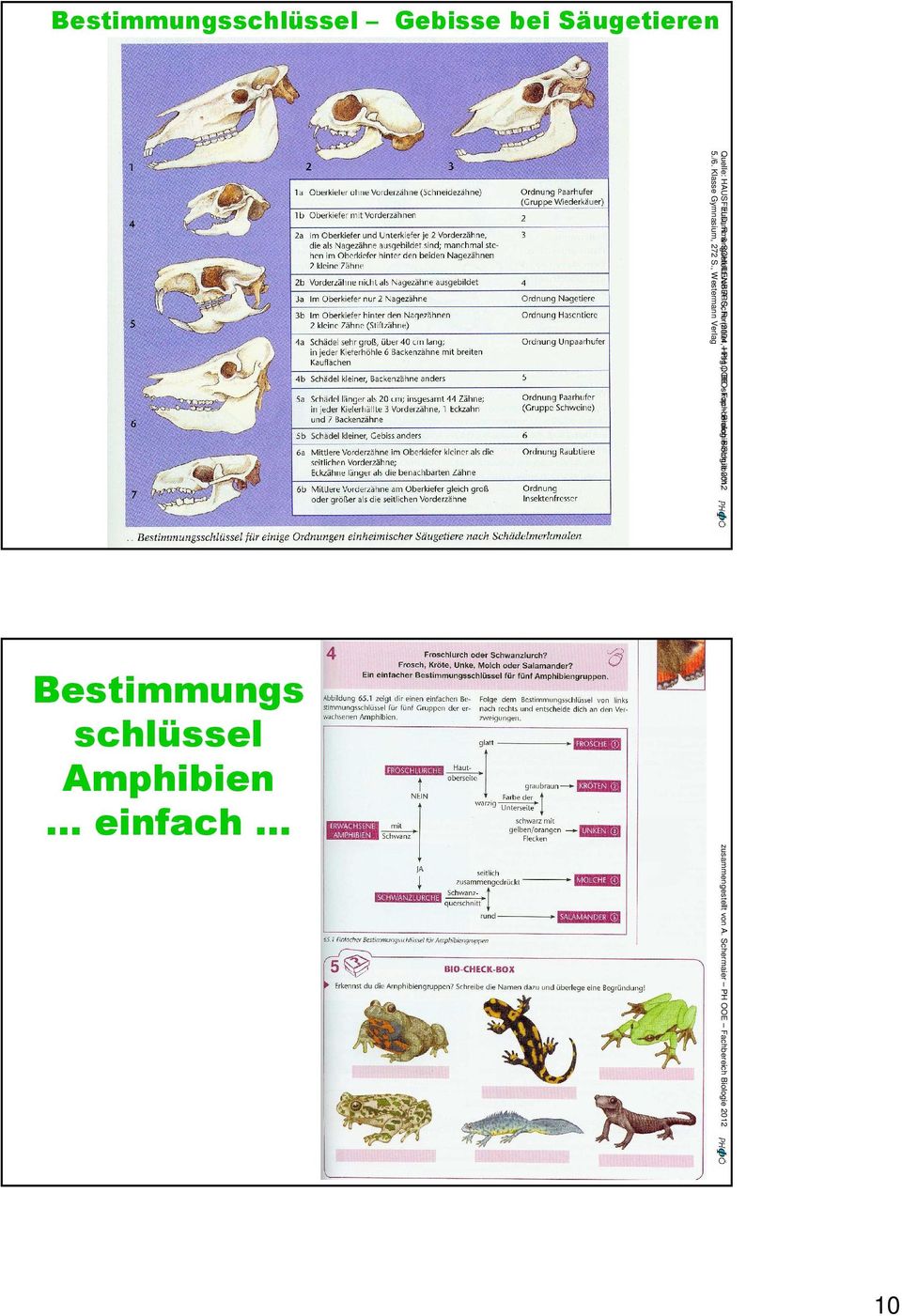 ): PH OOE BIOskop Fachbereich Biologie-Schulbuch, 2012 5./6.