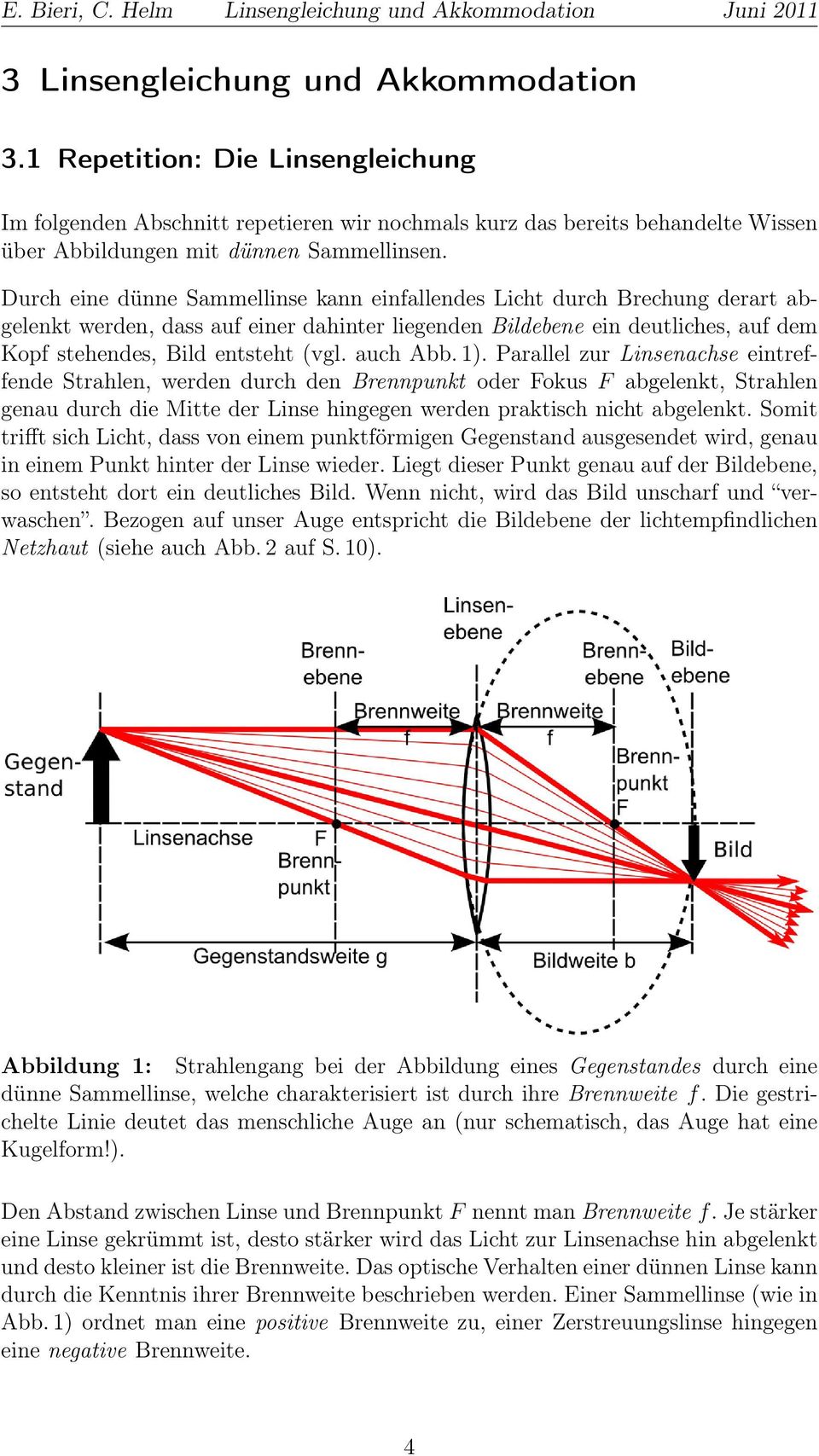 auch Abb. 1). Parallel zur Linsenachse eintreffende Strahlen, werden durch den Brennpunkt oder Fokus F abgelenkt, Strahlen genau durch die Mitte der Linse hingegen werden praktisch nicht abgelenkt.