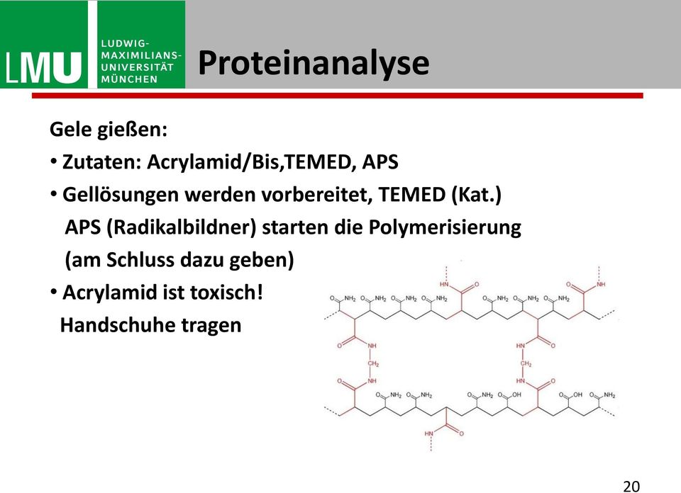 vorbereitet, TEMED (Kat.