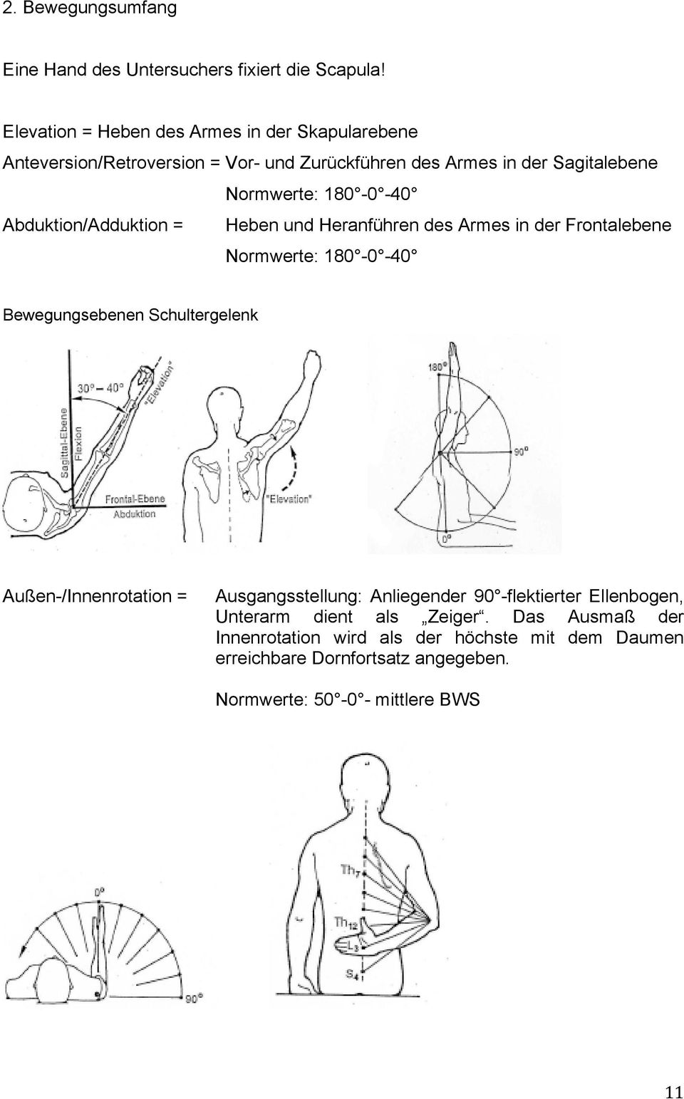 -40 Abduktion/Adduktion = Heben und Heranführen des Armes in der Frontalebene Normwerte: 180-0 -40 Bewegungsebenen Schultergelenk
