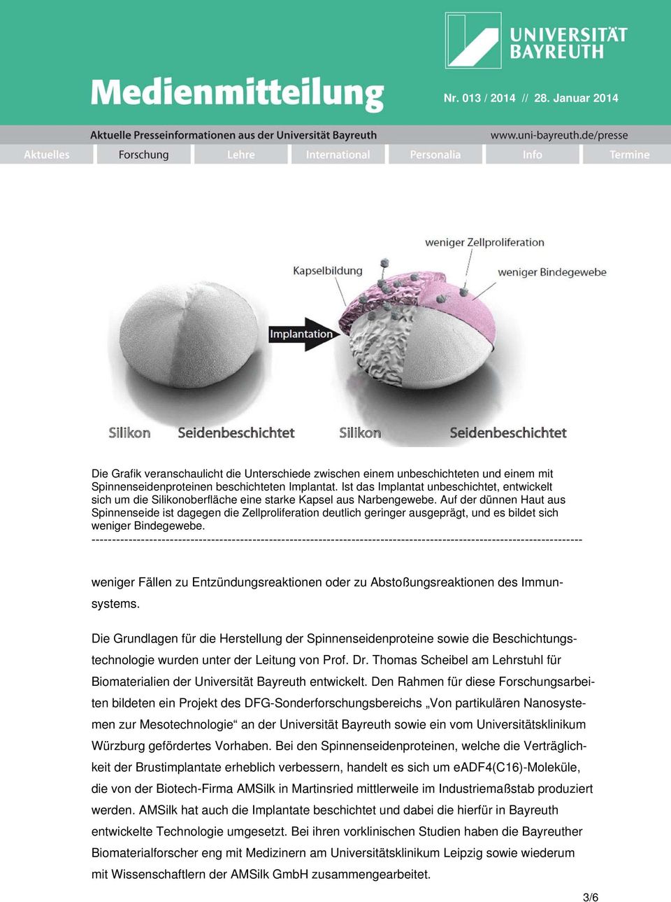 Auf der dünnen Haut aus Spinnenseide ist dagegen die Zellproliferation deutlich geringer ausgeprägt, und es bildet sich weniger Bindegewebe.