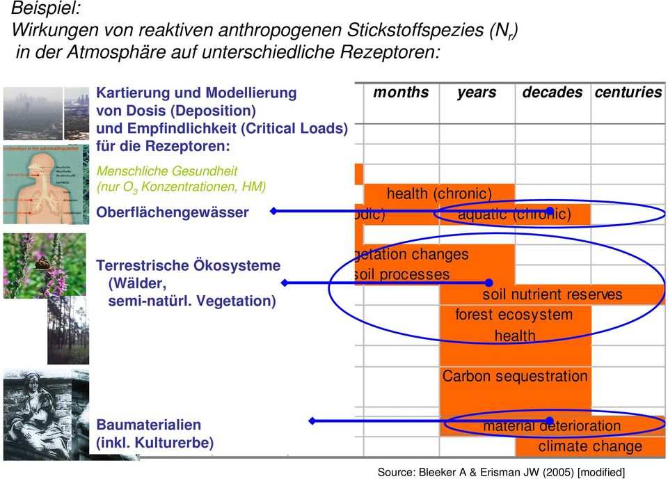 (acute) health (chronic) Oberflächengewässer aquatic (episodic) aquatic (chronic) plant responses Vegetation changes soil processes Terrestrische Ökosysteme (Wälder, semi-natürl.