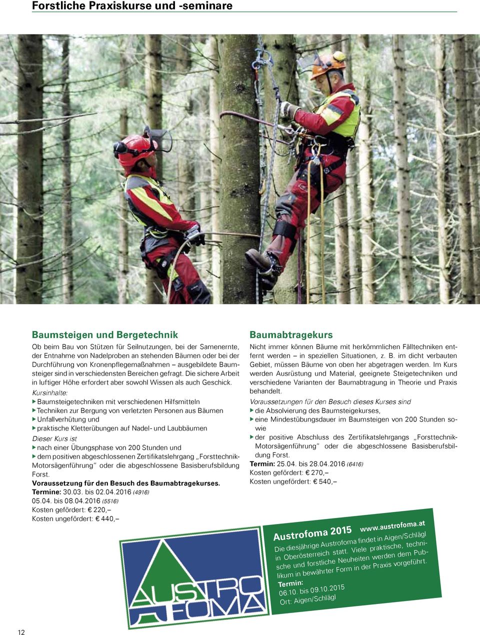 Kursinhalte: ubaumsteigetechniken mit verschiedenen Hilfsmitteln utechniken zur Bergung von verletzten Personen aus Bäumen uunfallverhütung und upraktische Kletterübungen auf Nadel- und Laubbäumen