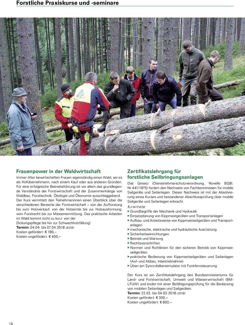 Der Kurs vermittelt den Teilnehmerinnen einen Überblick über die verschiedenen Bereiche der Forstwirtschaft von der Aufforstung bis zum Holzverkauf, von der Holzernte bis zur Holzausformung, vom