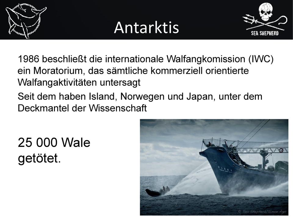 Walfangaktivitäten untersagt Seit dem haben Island, Norwegen