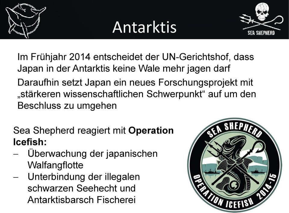 Schwerpunkt auf um den Beschluss zu umgehen Sea Shepherd reagiert mit Operation Icefish: Überwachung