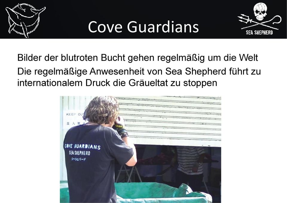 regelmäßige Anwesenheit von Sea Shepherd