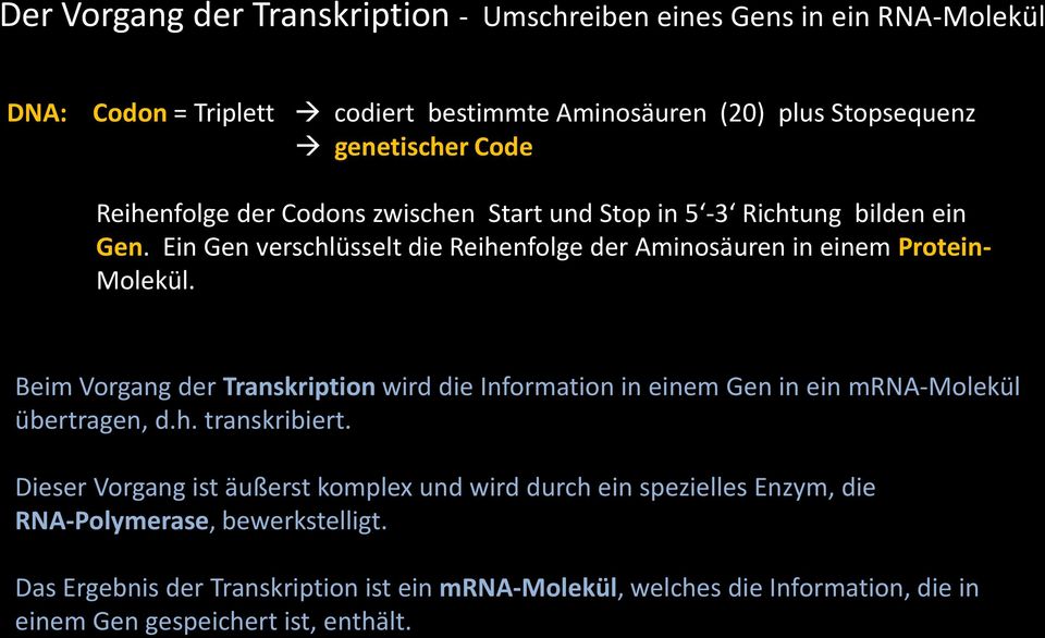 Beim Vorgang der Transkription wird die Information in einem Gen in ein mrna-molekül übertragen, d.h. transkribiert.