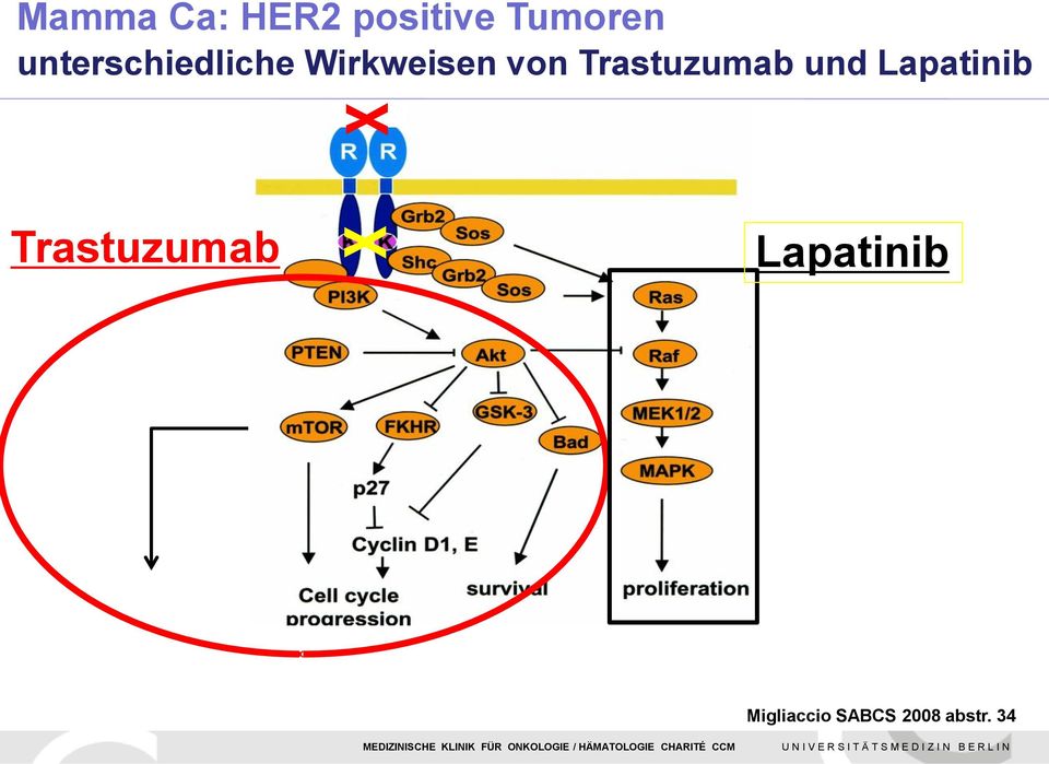 Trastuzumab und Lapatinib χ χ