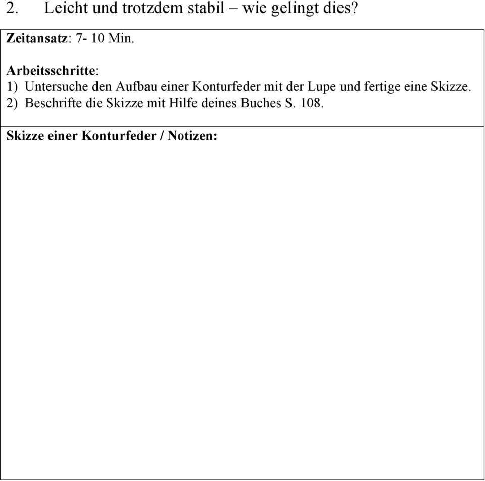 1) Untersuche den Aufbau einer Konturfeder mit der Lupe und