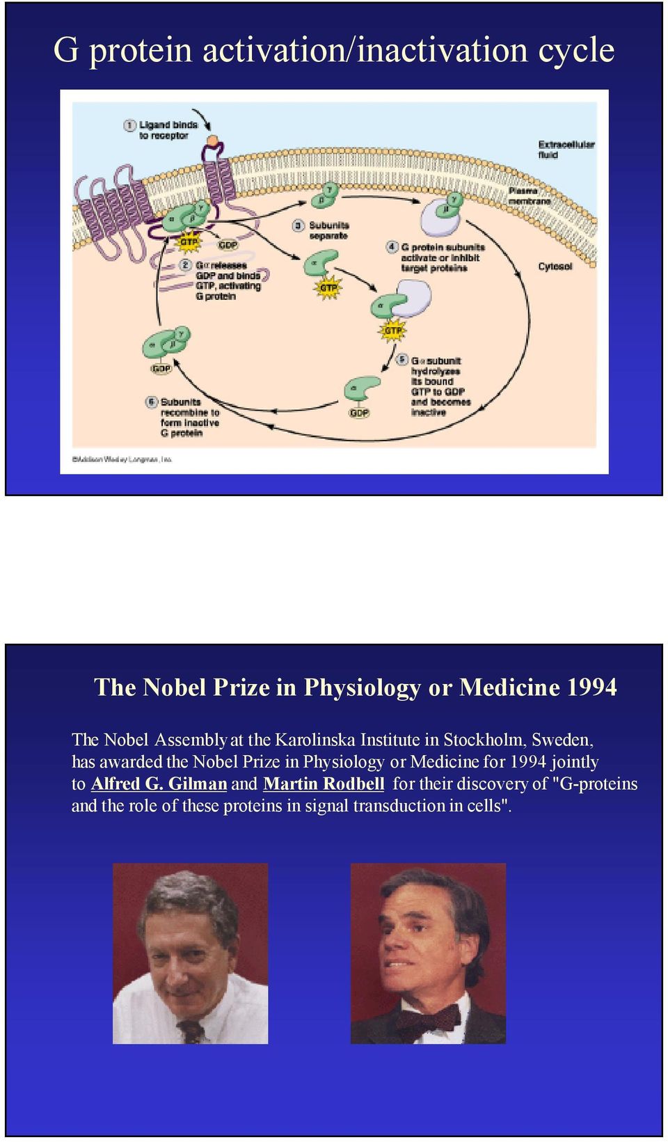 Prize in Physiology or Medicine for 1994 jointly to Alfred G.