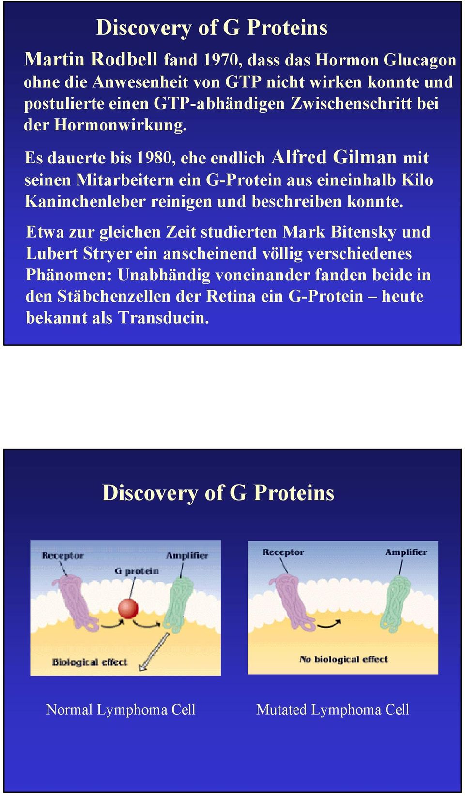 Es dauerte bis 1980, ehe endlich Alfred Gilman mit seinen Mitarbeitern ein G-Protein aus eineinhalb Kilo Kaninchenleber reinigen und beschreiben konnte.