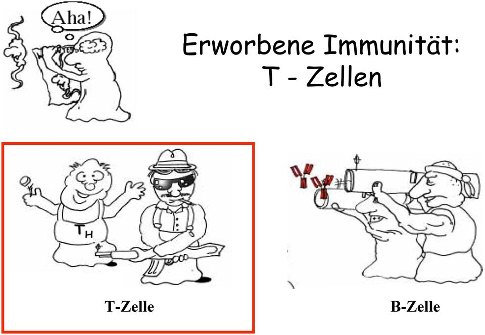 T - Zellen
