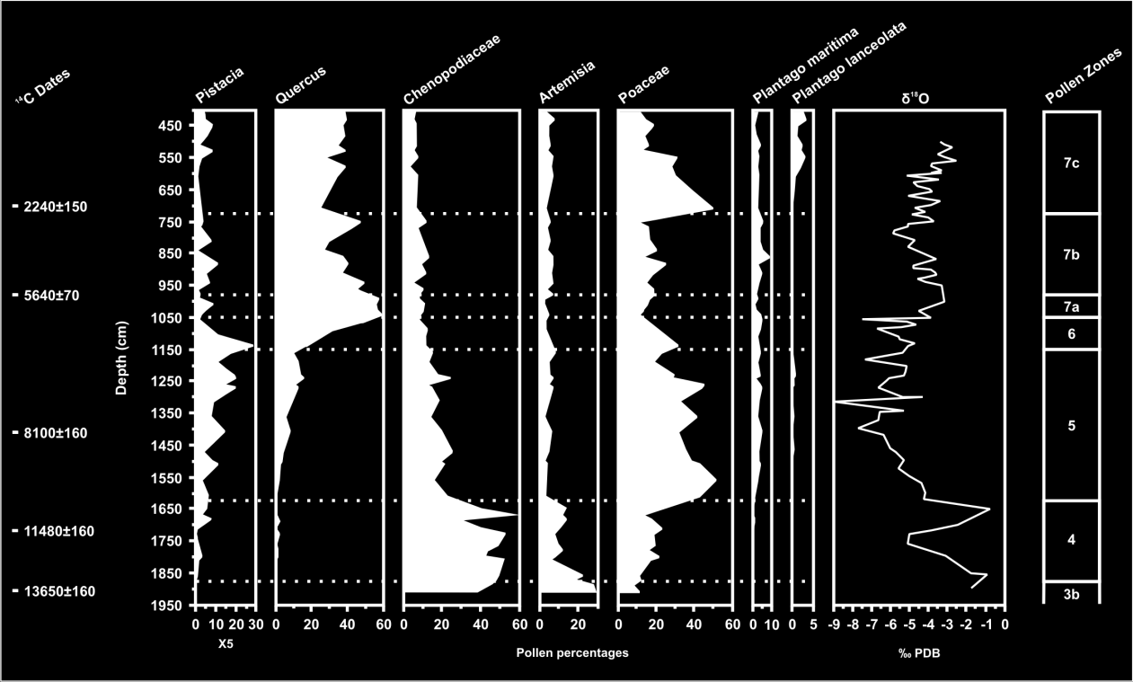 Abb. 2.6.1: Vereinfachtes Pollen- und Sauerstoffisotopendiagramm der Sedimente des Zeribarsees (NW- Iran) über die vergangenen ca. 14.000 Jahre. Verändert nach Stevens et al. (2001).