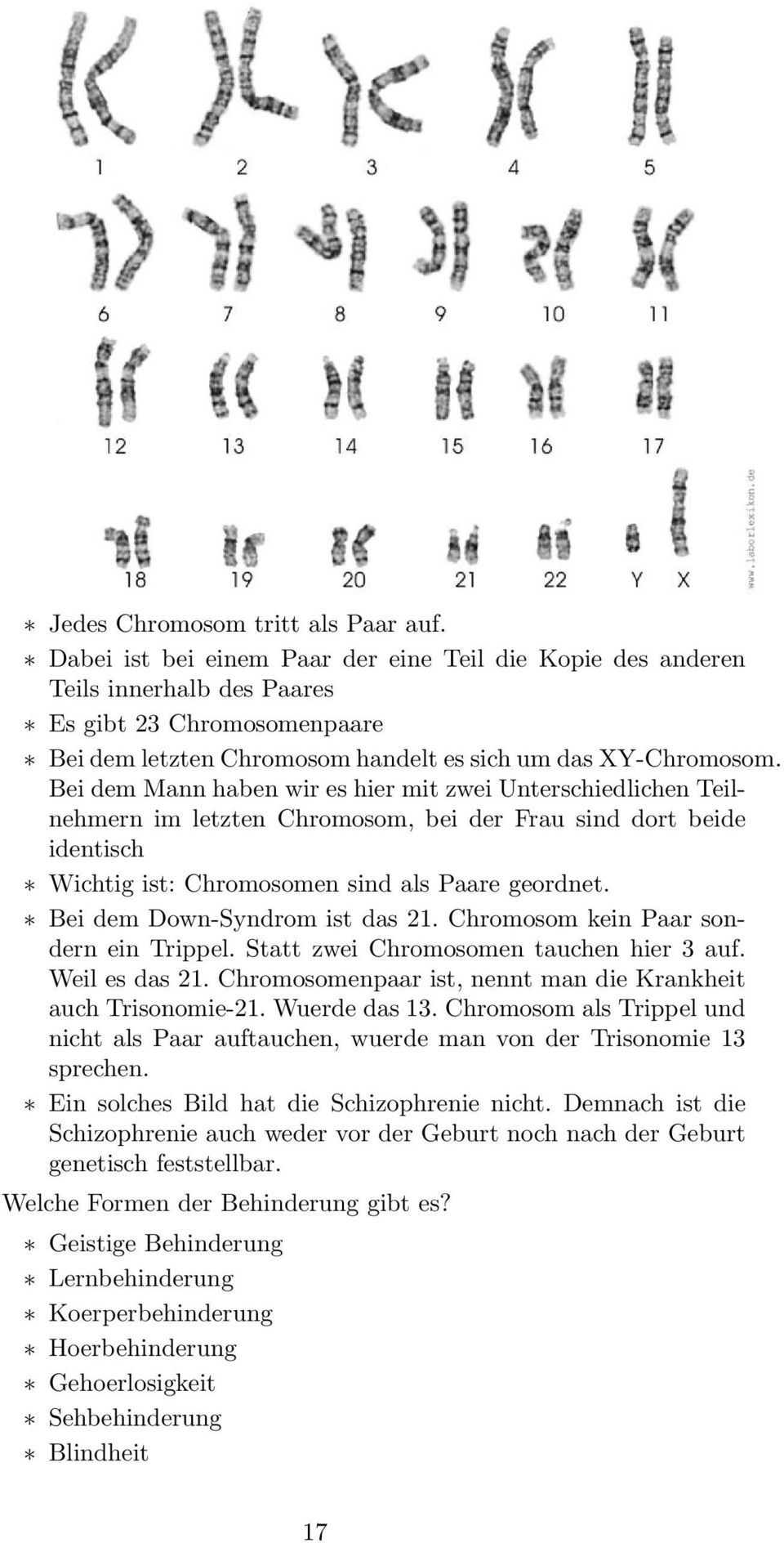 Bei dem Mann haben wir es hier mit zwei Unterschiedlichen Teilnehmern im letzten Chromosom, bei der Frau sind dort beide identisch Wichtig ist: Chromosomen sind als Paare geordnet.